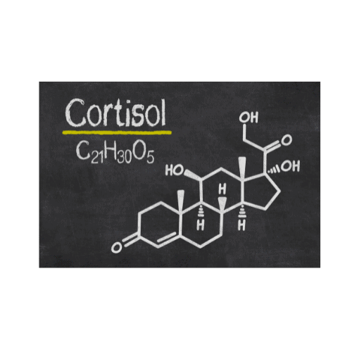 chemical composition of cortisol, a hormone