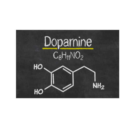 chemical composition of dopamine, a hormone involved in sugar addiction